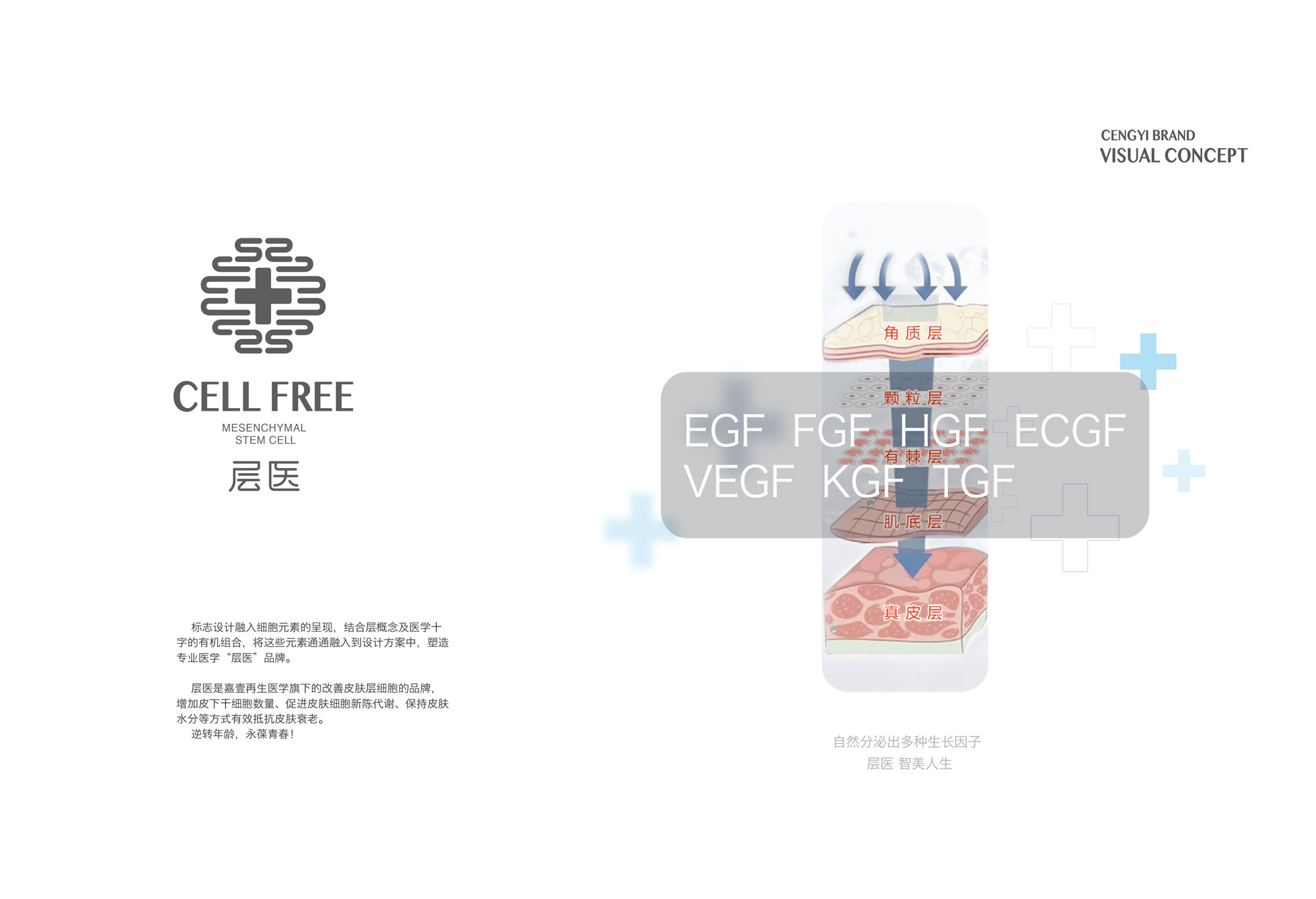 大連嘉壹再生醫(yī)學研究所有限公司 LOGO設計/包裝設計
